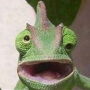 Meet your Posher, Miguel